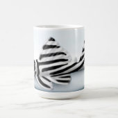 Zebra Pleco Mok (Center)