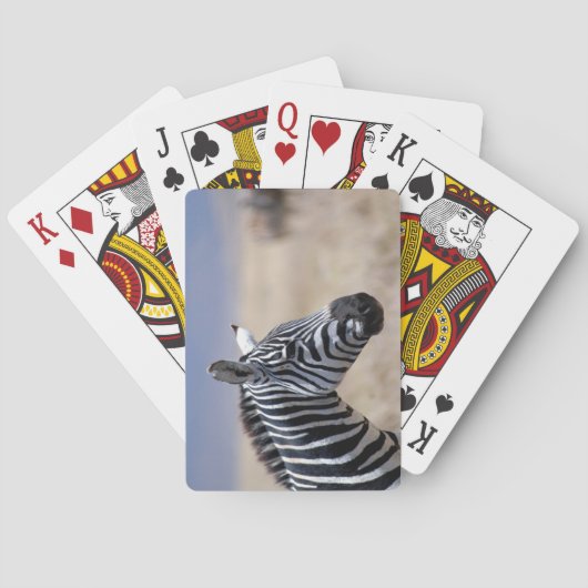 Zebra Pokerkaarten (Achterkant)