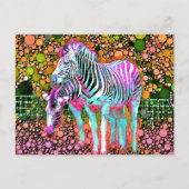 Zebra Pop Briefkaart (Voorkant)