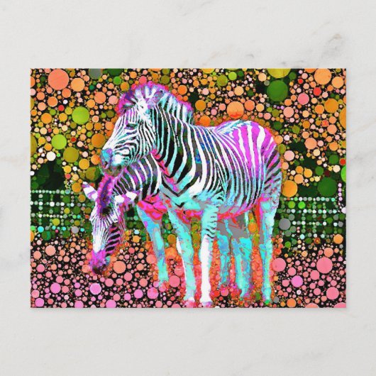 Zebra Pop Briefkaart (Voorkant)