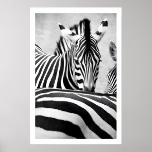 Zebra Portret Muurkunst Grafisch Zwart en Wit Poster