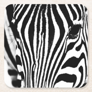 Zebra portret zwart-wit kartonnen onderzetters