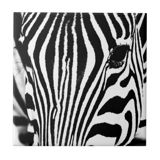 Zebra portret zwart-wit tegeltje (Voorkant)