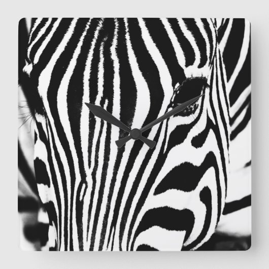Zebra portret zwart-wit vierkante klok (Voorkant)
