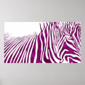 ZEBRA POSTER (Voorkant)