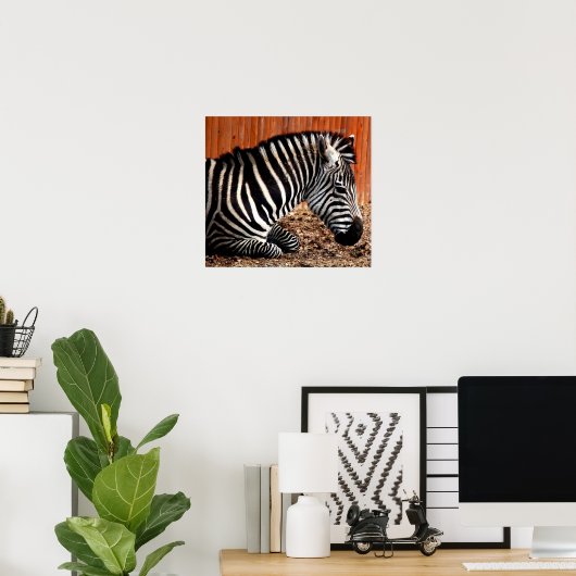 Zebra Poster (Thuiskantoor)