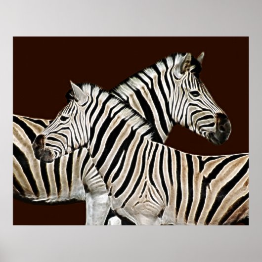 Zebra Poster (Voorkant)