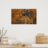 Zebra Poster (Keuken)