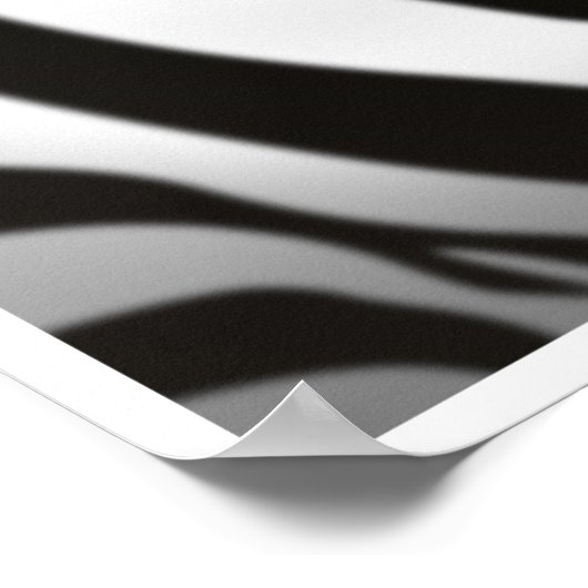 Zebra Poster (Hoek)