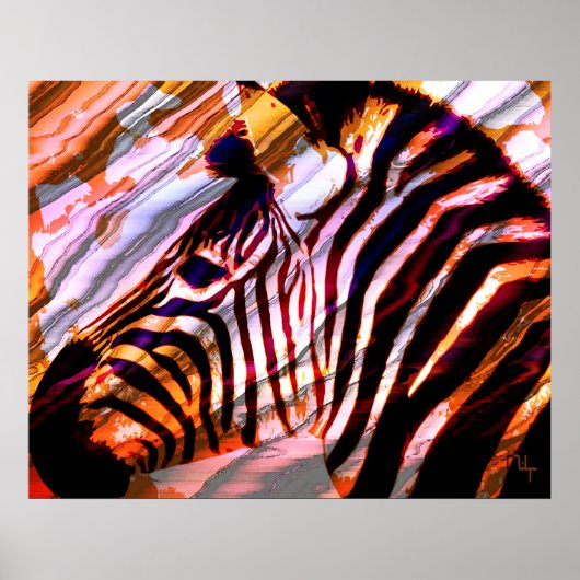 Zebra Poster (Voorkant)