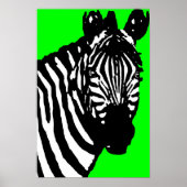 zebra. poster (Voorkant)
