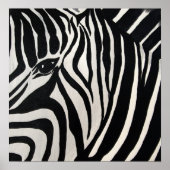 Zebra Poster (Voorkant)