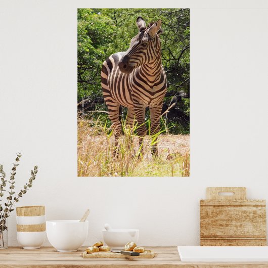 Zebra Poster (Keuken)