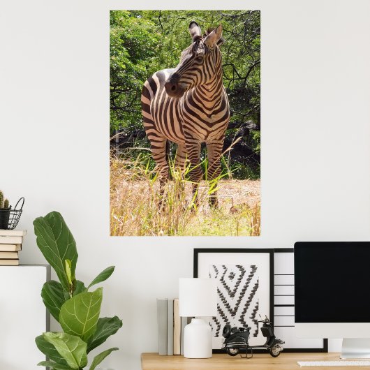Zebra Poster (Thuiskantoor)