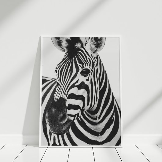 Zebra Poster