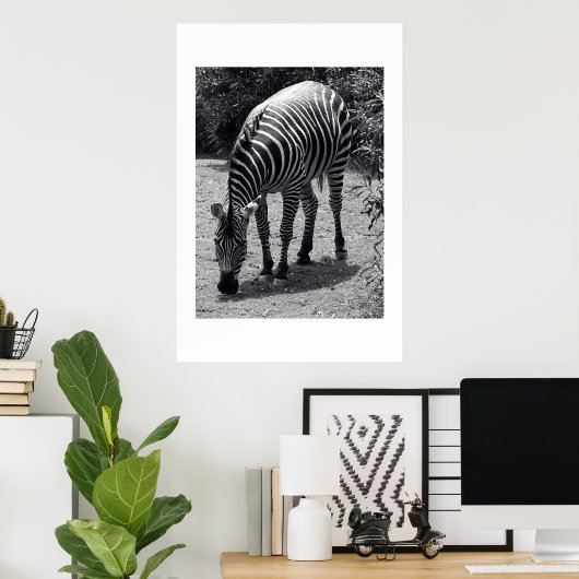 Zebra Poster (Thuiskantoor)