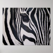 Zebra Poster (Voorkant)