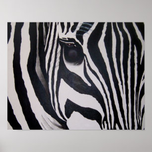 Zebra Poster