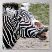 Zebra Poster glimlachen (Voorkant)