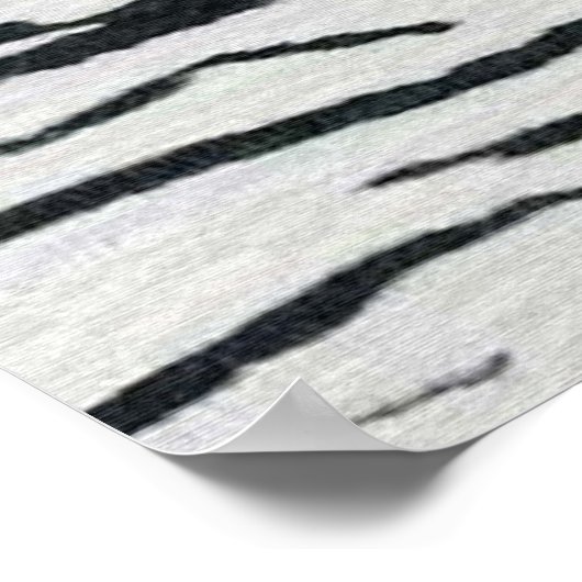 Zebra Poster Muurmuurschildering (Hoek)