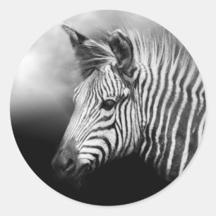 Zebra Poster Ronde Sticker