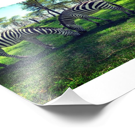 Zebra Poster voor Afrikaanse liefhebbers (Hoek)