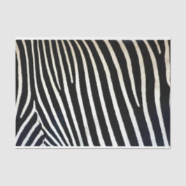 Zebra Print Black Fur Tissuepapier