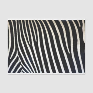 Zebra Print Black Fur Tissuepapier