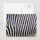 Zebra Print Briefkaart (Voorkant / Achterkant)