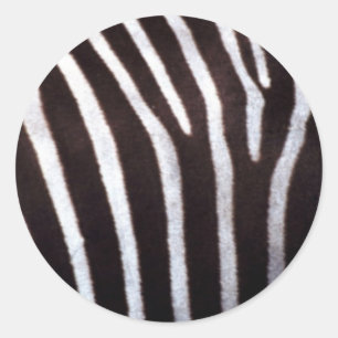 zebra print ronde sticker