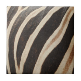 Zebra Print Tile Tegeltje
