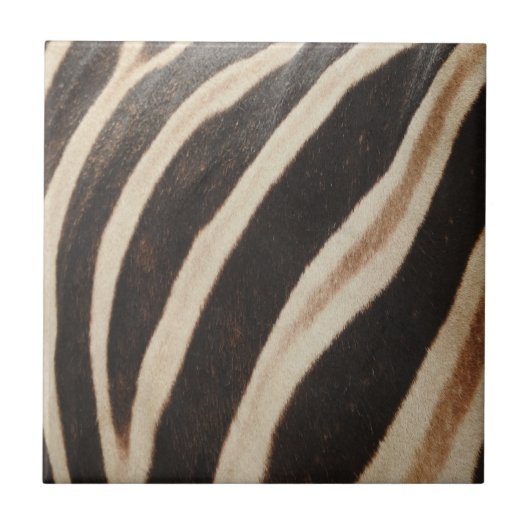 Zebra Print Tile Tegeltje (Voorkant)