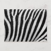 Zebra Print, Zebra Stripes, zwart en wit Briefkaart (Voorkant)