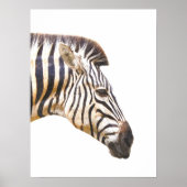 Zebra profiel dierportret oerwoud poster (Voorkant)