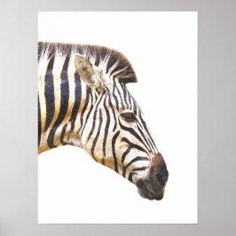 Zebra profiel dierportret oerwoud poster