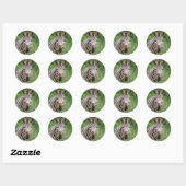 Zebra-profiel Ronde Sticker (Vel)