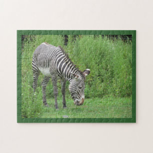 Zebra Puzzle Legpuzzel