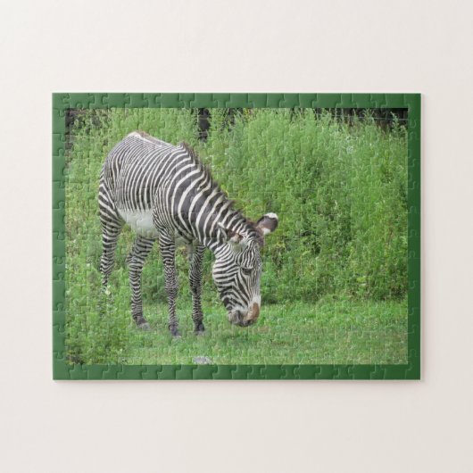 Zebra Puzzle Legpuzzel (Horizontaal)