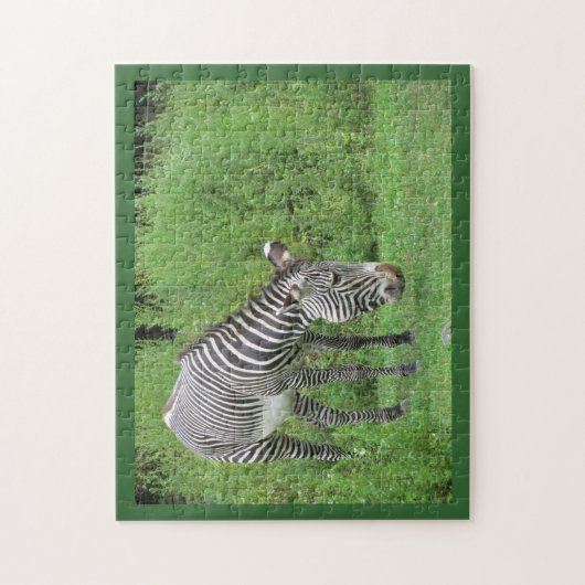 Zebra Puzzle Legpuzzel (Verticaal)