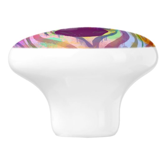 Zebra Rainbow Splash Keramische Knop (Zijkant)