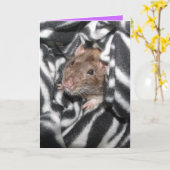 zebra rat Verjaardagskaart Kaart (Gele Bloem)