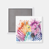 Zebra Regenboogmagneet Magneet (Voorkant / Achterkant)