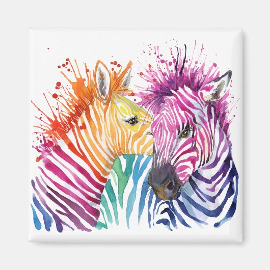 Zebra Regenboogmagneet Magneet (Voorkant)