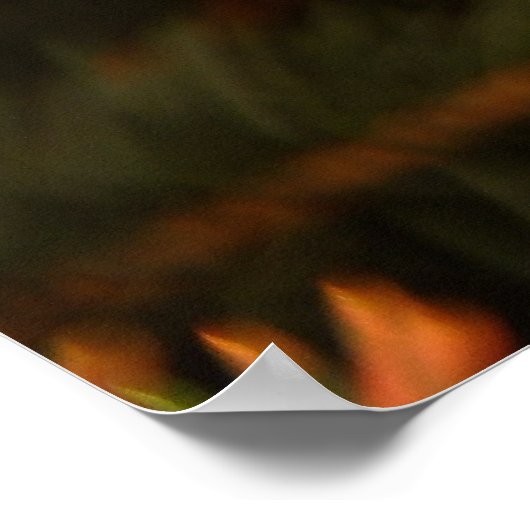 Zebra Rocking Horse Poster (Hoek)