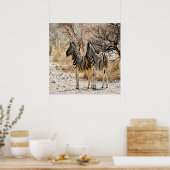 Zebra rol poster (Keuken)