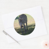 Zebra Ronde Sticker (Envelop)
