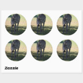 Zebra Ronde Sticker (Vel)