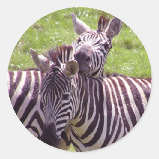 Zebra Ronde Sticker (Voorkant)