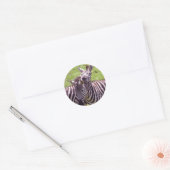 Zebra Ronde Sticker (Envelop)