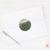 Zebra Ronde Sticker (Envelop)